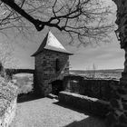 Burg Staufenberg 