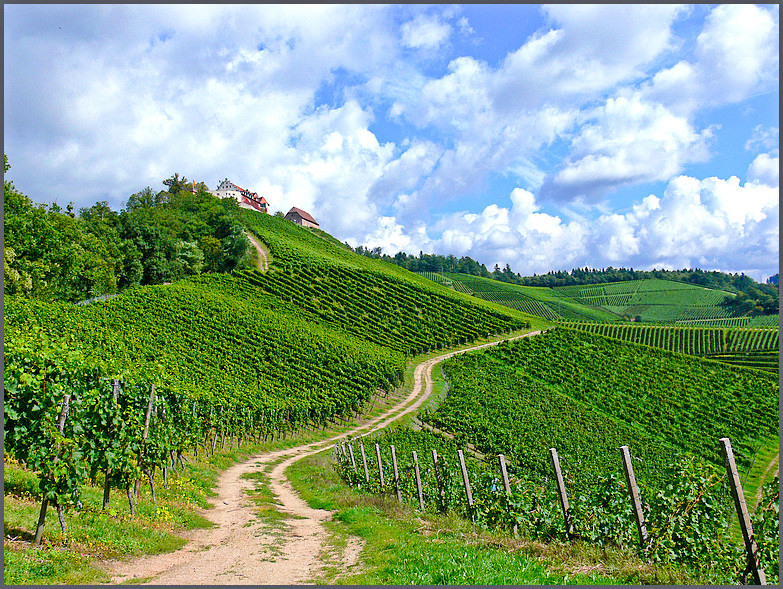 Burg Staufenberg