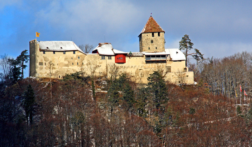 Burg Stein am Reihn im...