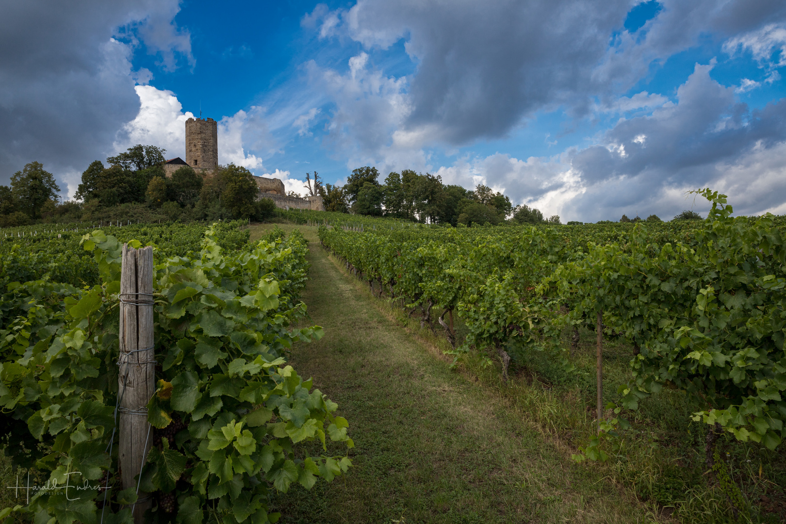 Burg Steinsberg