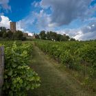 Burg Steinsberg