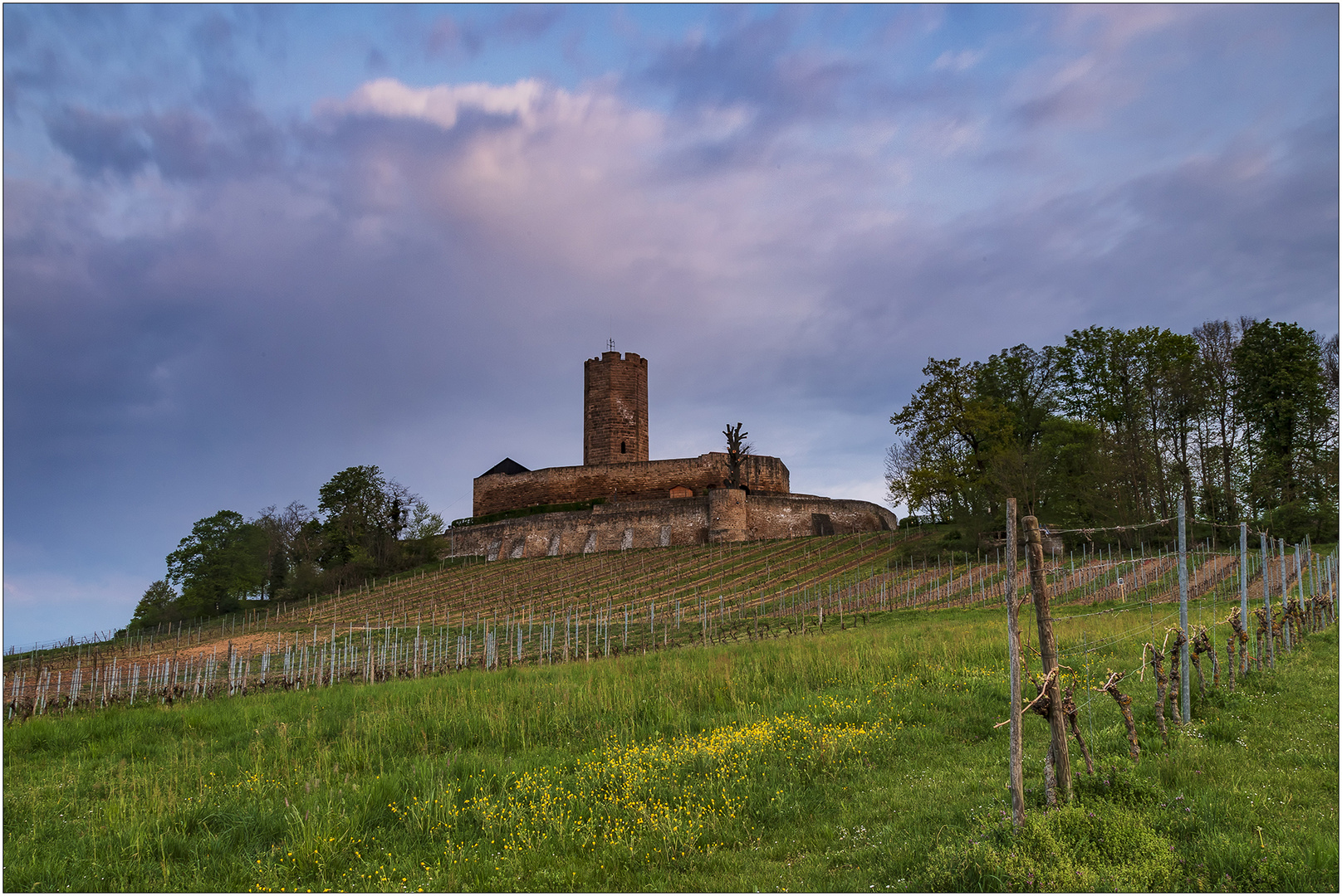 Burg Steinsberg