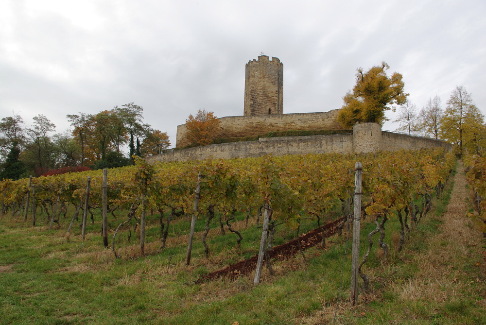 Burg Steinsberg