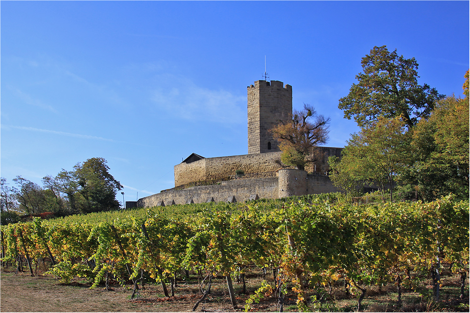 Burg Steinsberg