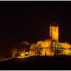 BURG STEINSBERG