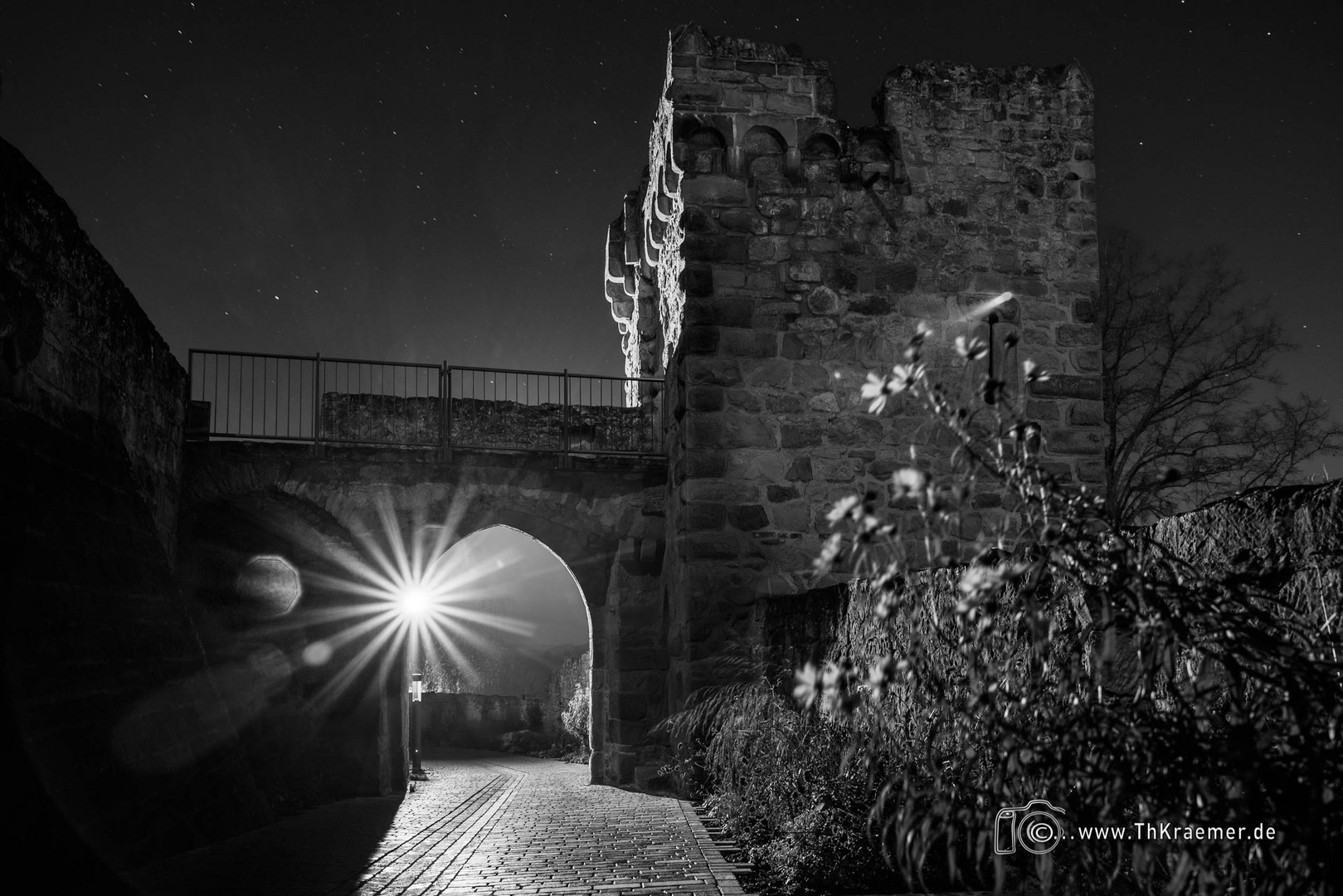 Burg Steinsberg - monocrome- D85_1963