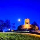 Burg Steinsberg / Sinsheim - BW