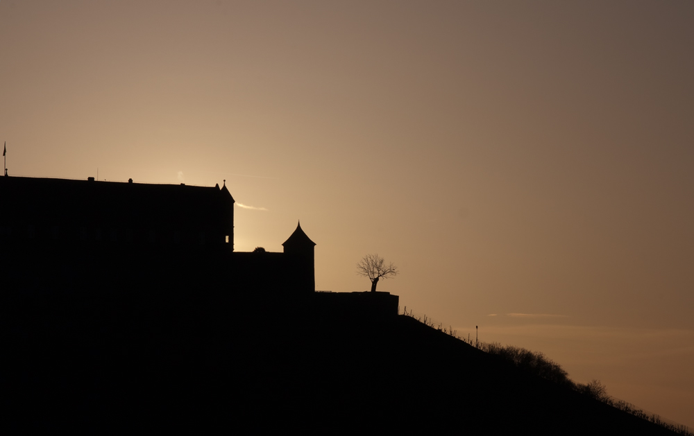 Burg Stettenfels am Morgen