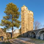 Burg Stolpen (14)