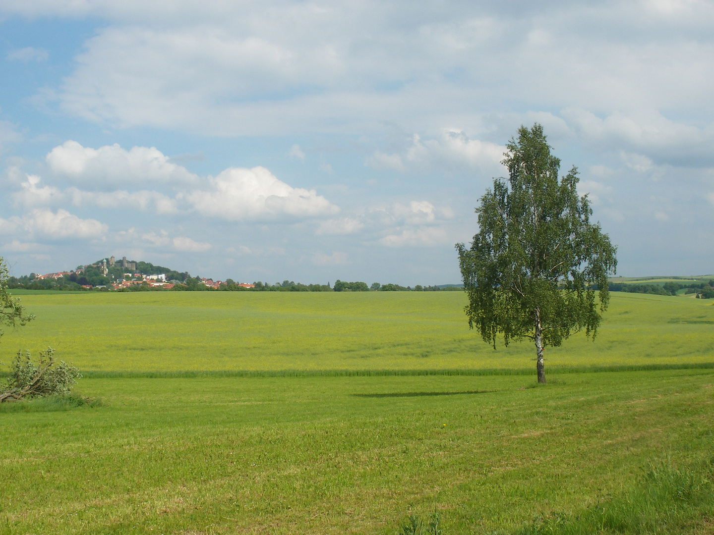 Burg Stolpen