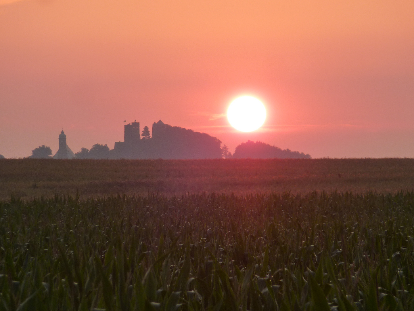 Burg Stolpen im Morgenlicht