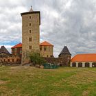 Burg Svihov