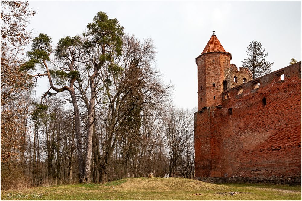 burg szymbark 22