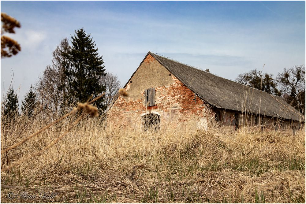 burg szymbark gehöft 08