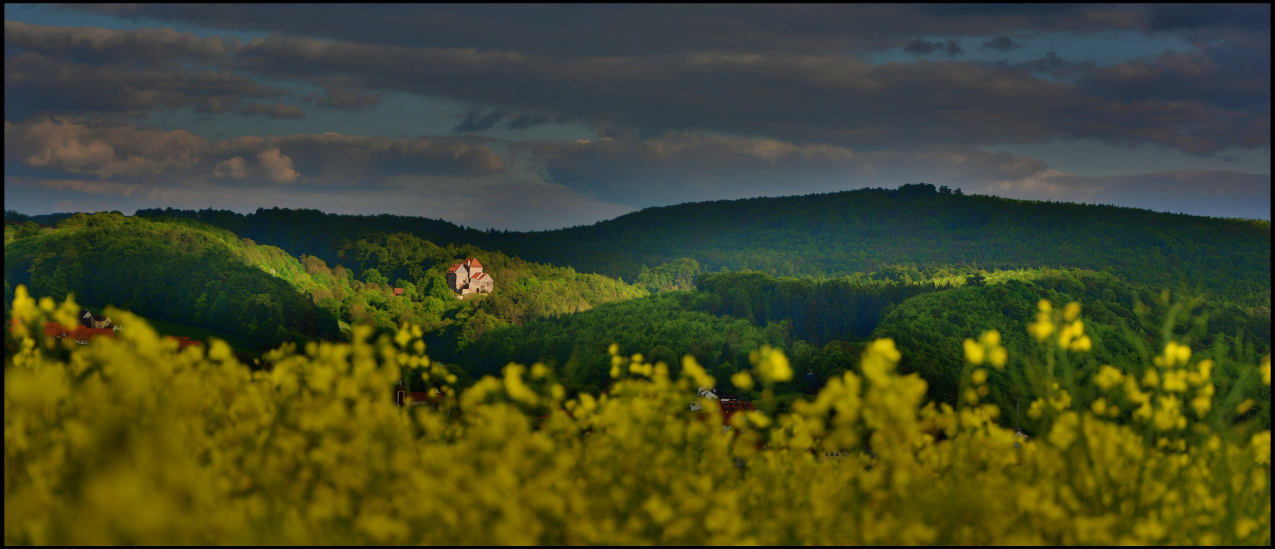 Burg Tannenberg