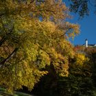 Burg Teck im Herbst 