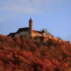 Burg Teck im Herbstkleid