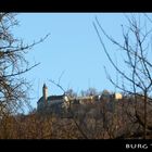 burg teck in der wintersonne