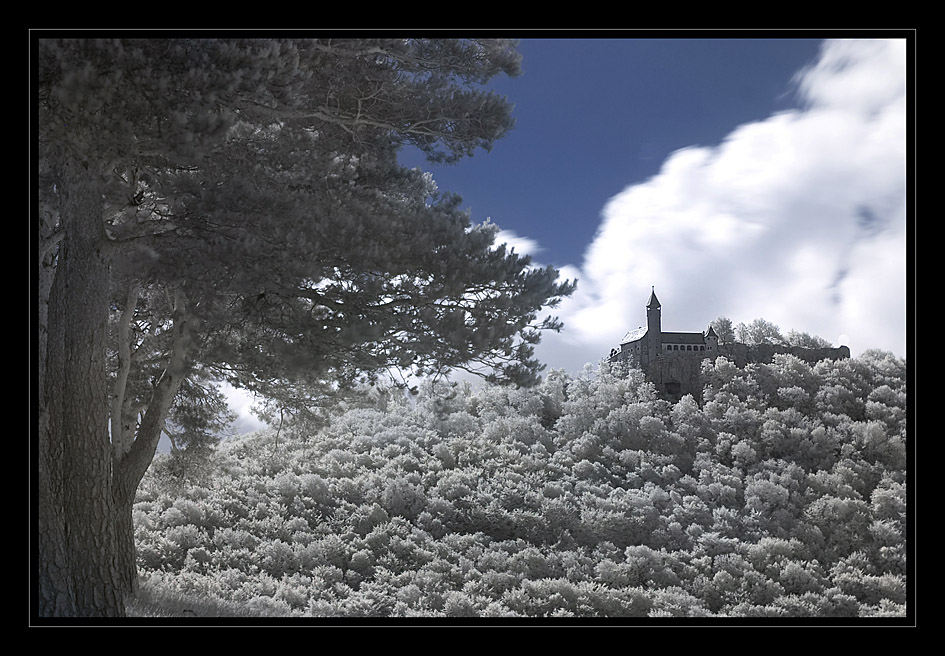 Burg Teck in IR