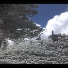 Burg Teck in IR