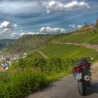 Burg Thurandt bei Alken an der Mosel