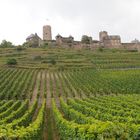 Burg Thurant (1)