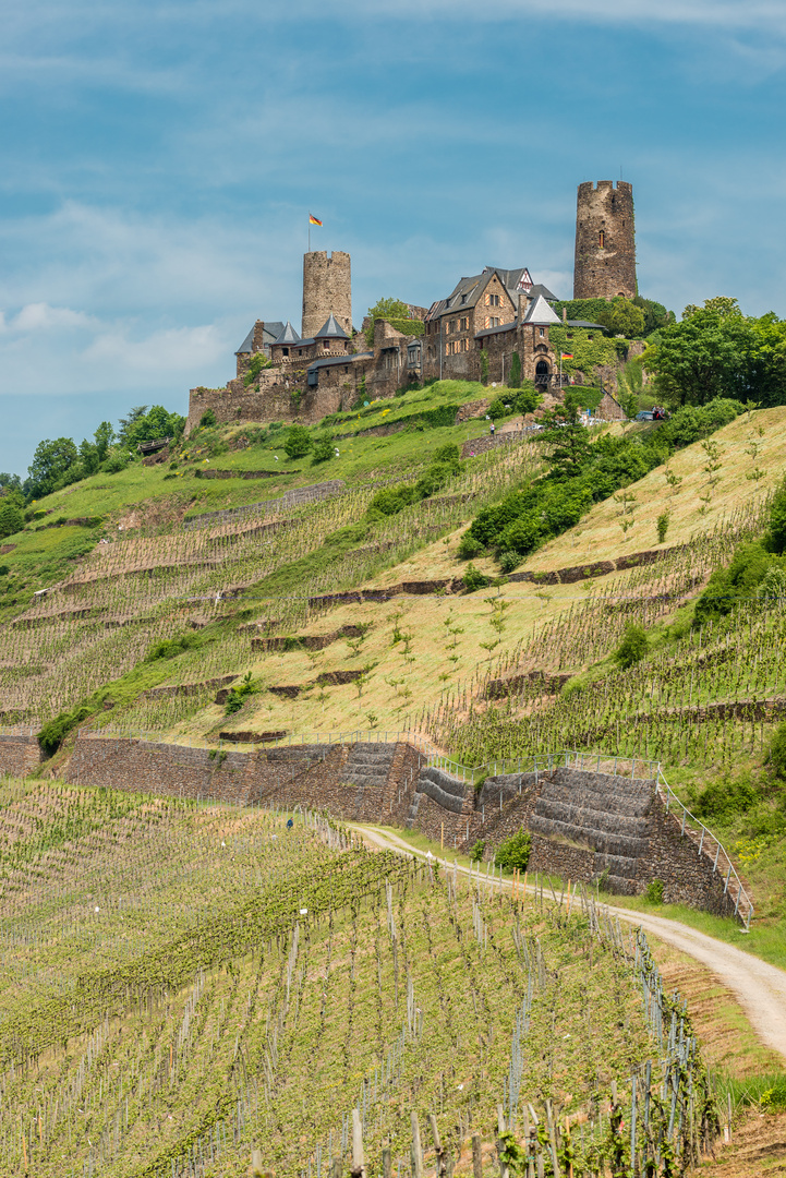 Burg Thurant 19