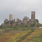 Burg Thurant.......