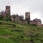 Burg Thurant ...