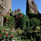 Burg Thurant