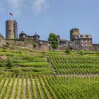 Burg Thurant Alken