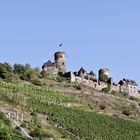 Burg Thurant Alken / Mosel