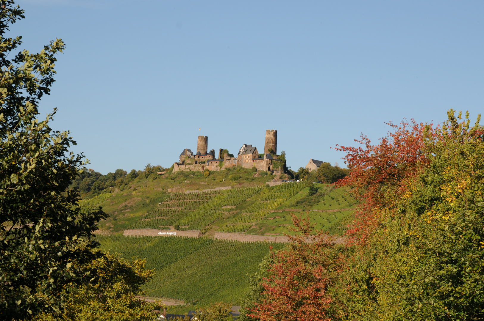 Burg Thurant an der Mosel über dem Ort Alken