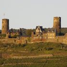 Burg Thurant