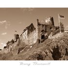 Burg Thurant