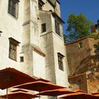 Burg Traunitz