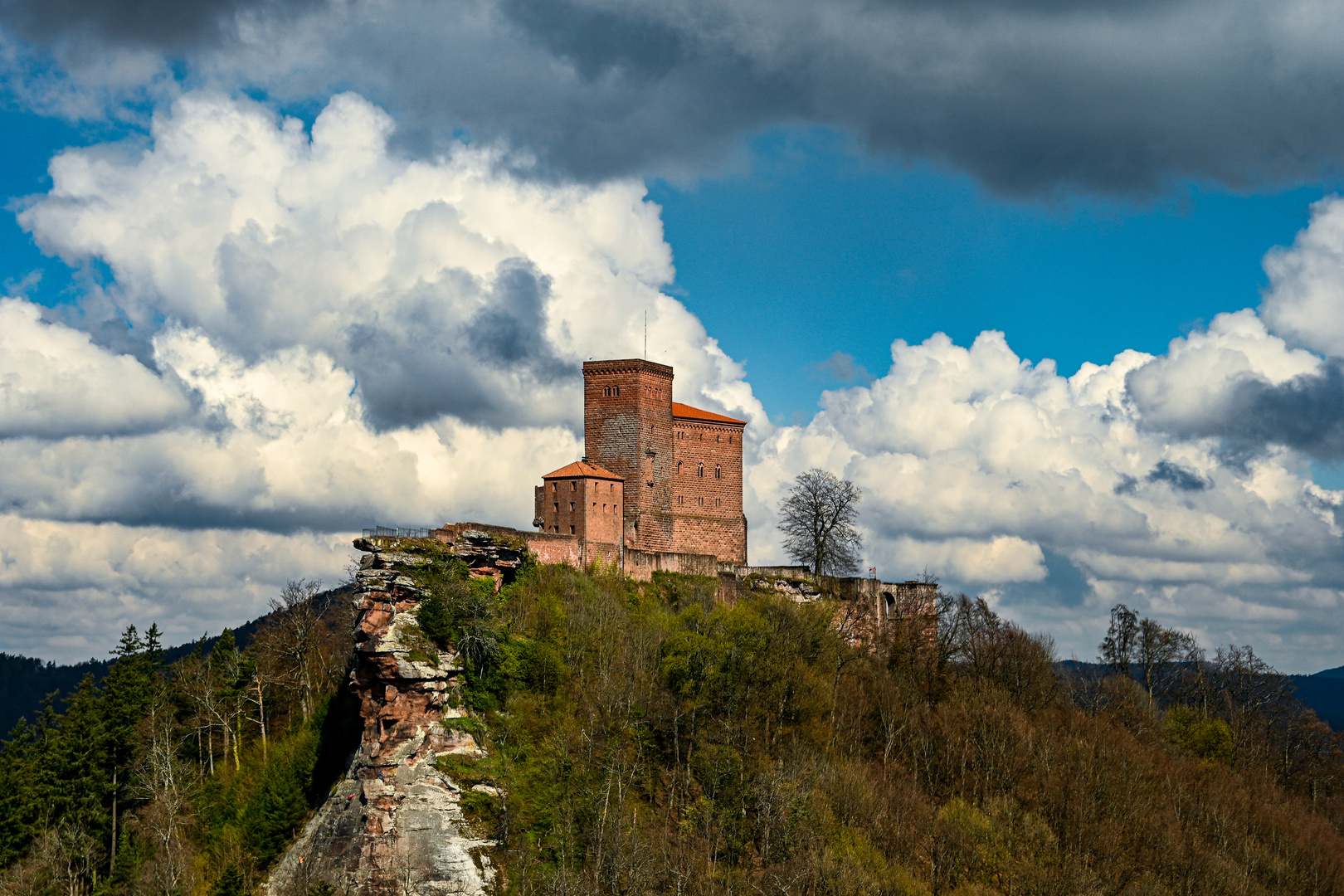 Burg Trifels Foto & Bild natur Bilder auf