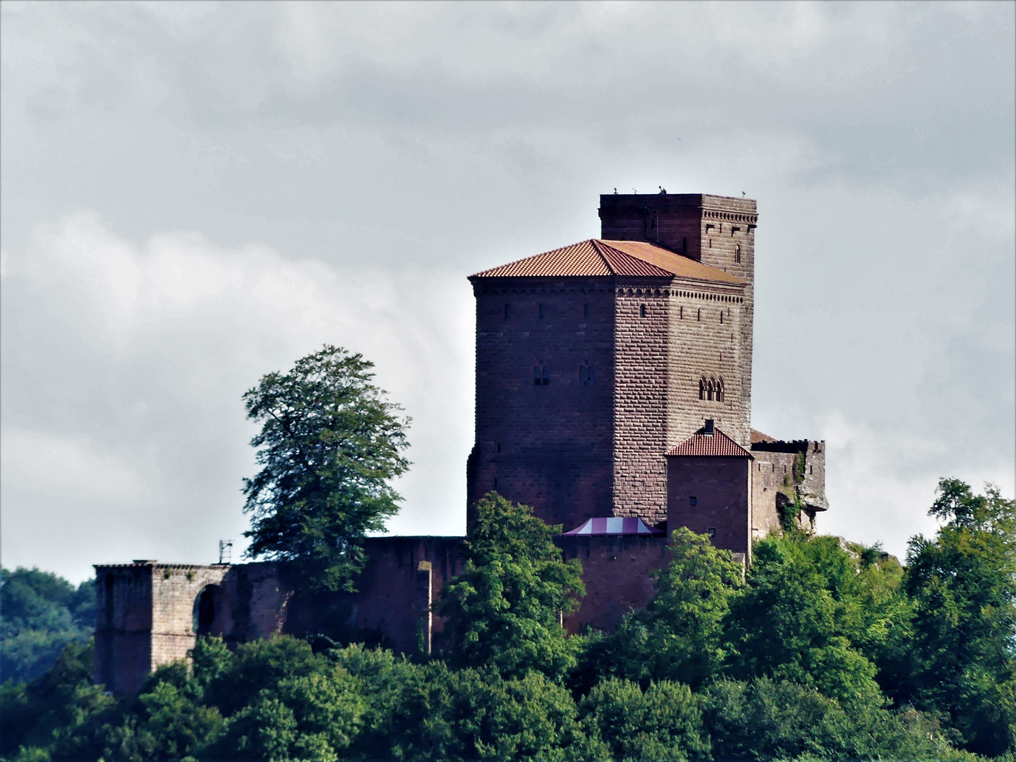  Burg Trifels