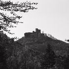 Burg Trifels