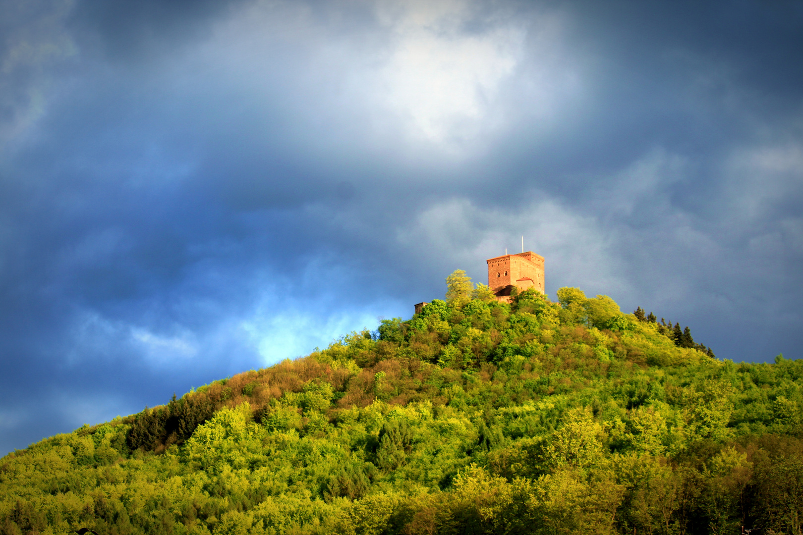 Burg Trifels auf dem Gipfel