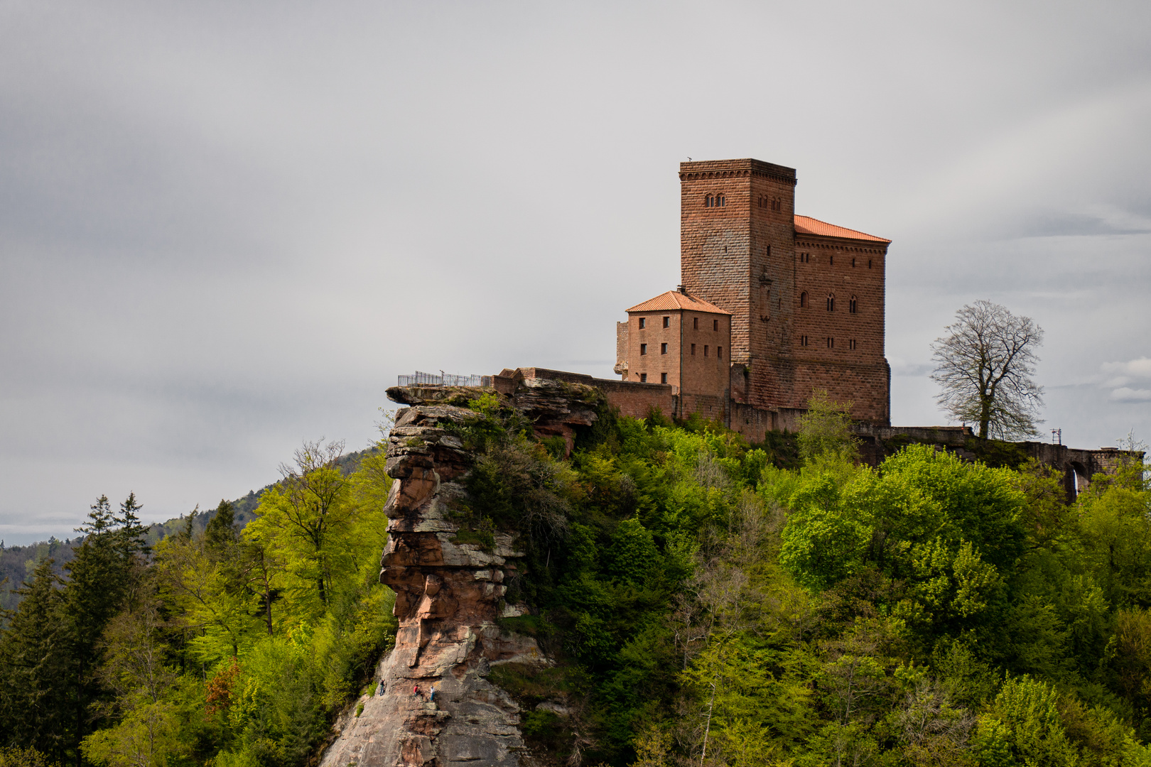 Burg Trifels bei Annweiler