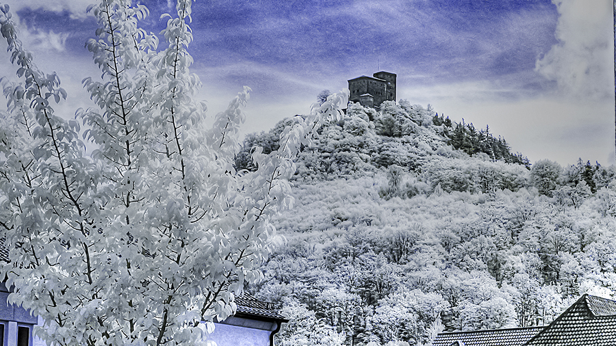 Burg Trifels