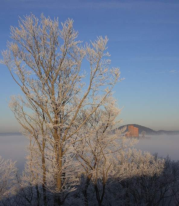 Burg Trifels