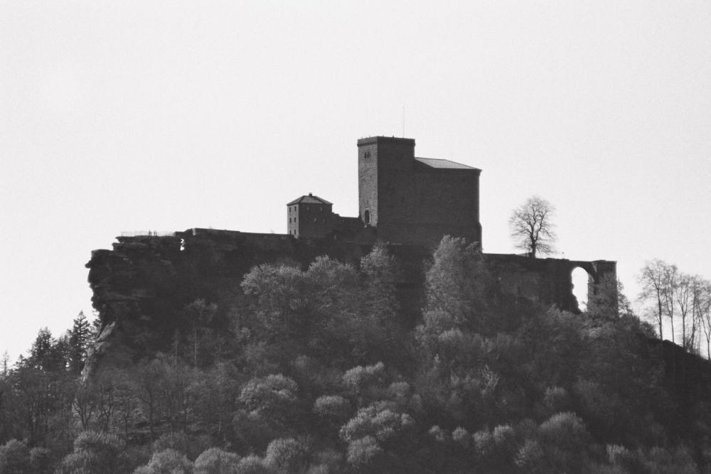 Burg Trifels II