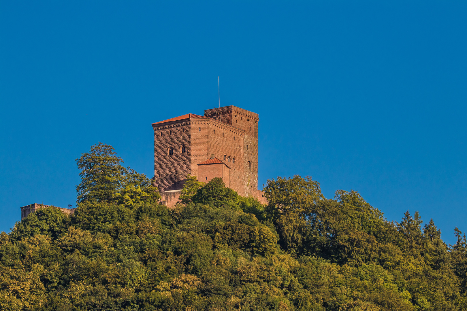 Burg Trifels im Abendlicht