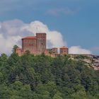 Burg Trifels im Abendlicht