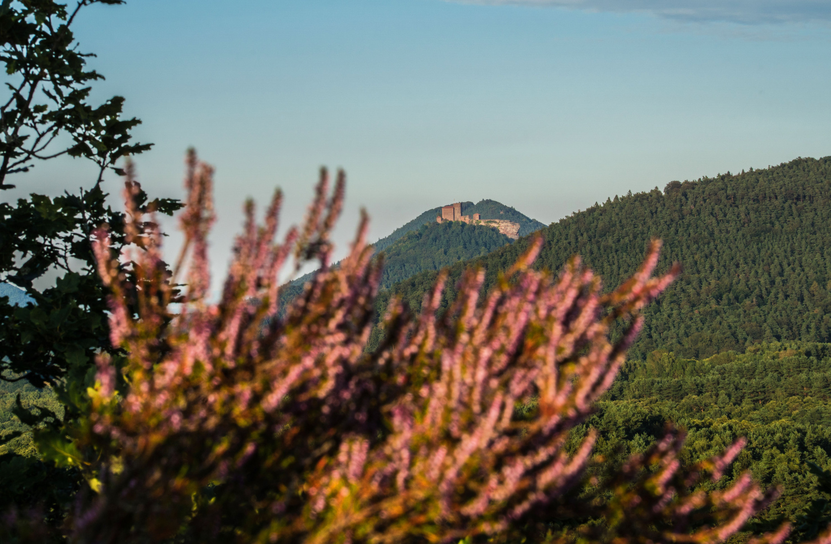 Burg Trifels im Abendlicht