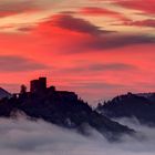 Burg Trifels im Nebel