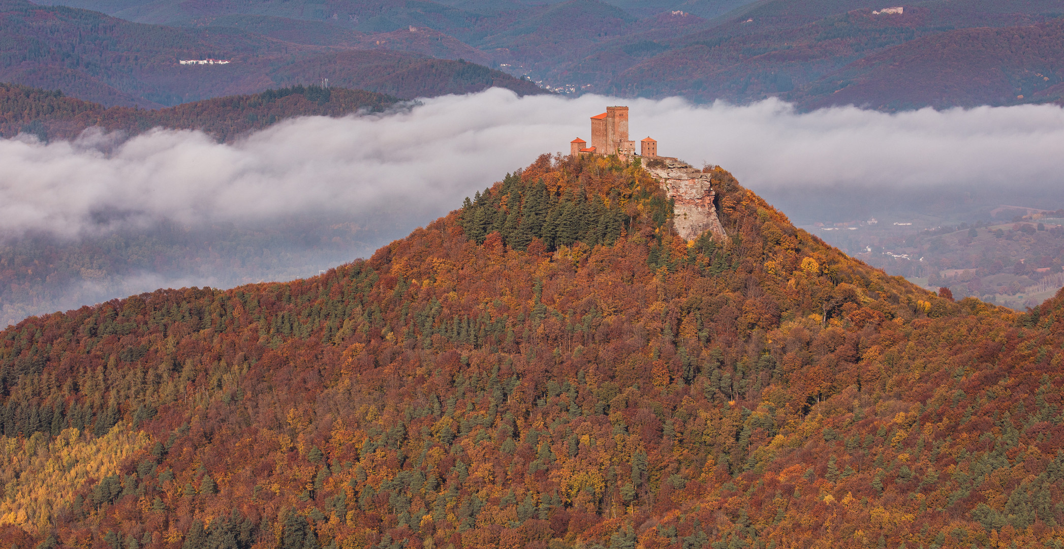 Burg Trifels im schönsten Herbstkleid