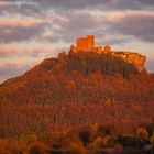 Burg Trifels ist errötet...